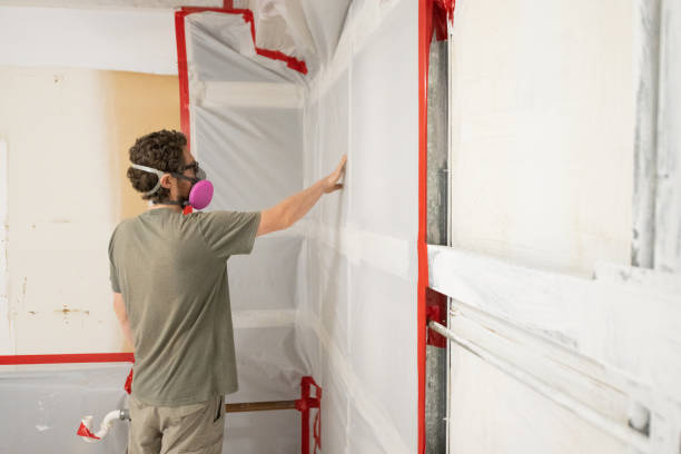 Best Mold Damage Restoration  in Missoula, MT