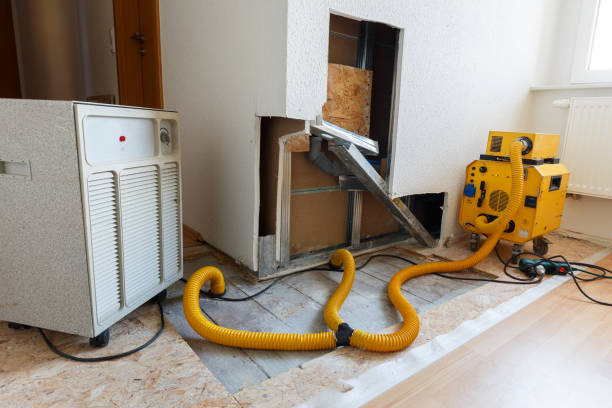 Best Mold Removal for HVAC Installations  in Missoula, MT